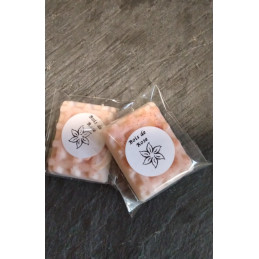 copy of Fondant - Pomme...