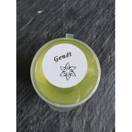 Genêt