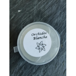 copy of Fondant - Bébé