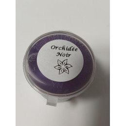 Orchidée noir