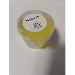 Mimosa